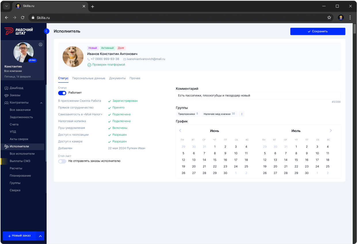 Скриншот платформы Скилла. Карточка исполнителя